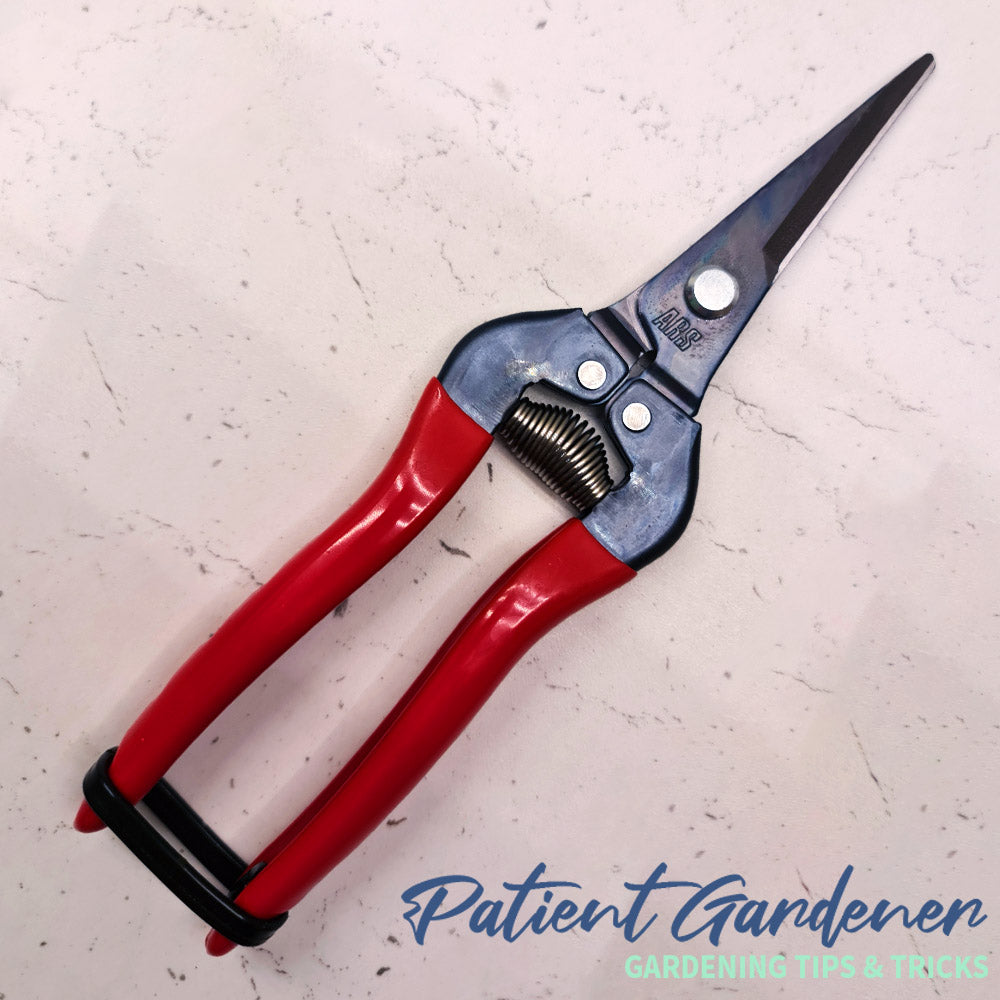 ARS 300L Long-Nose Pruning & Harvesting Snips