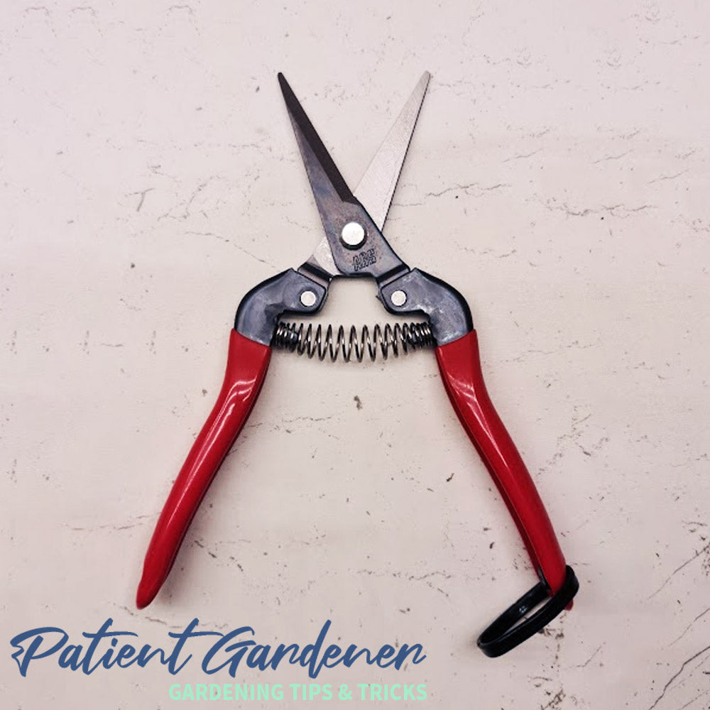 ARS 300L Long-Nose Pruning & Harvesting Snips