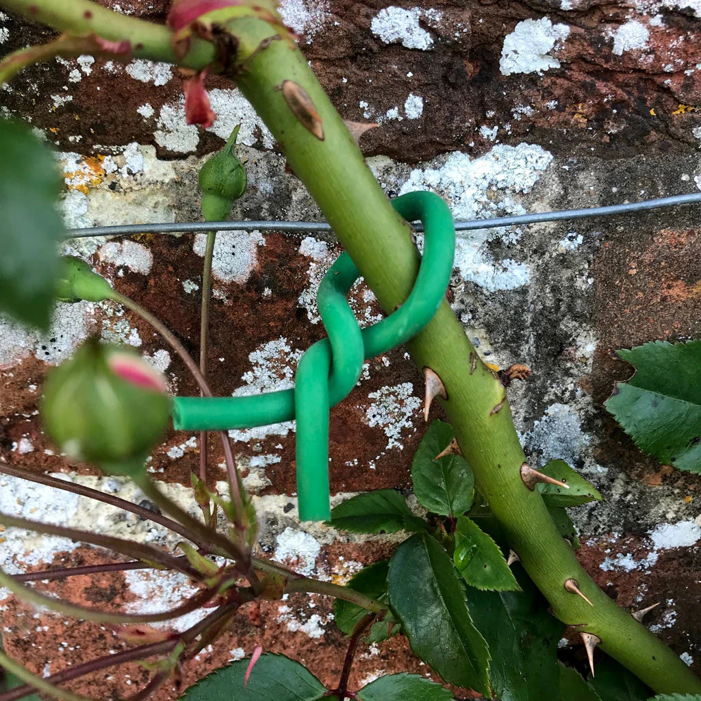 Soft Plant Ties 3mm x 8m
