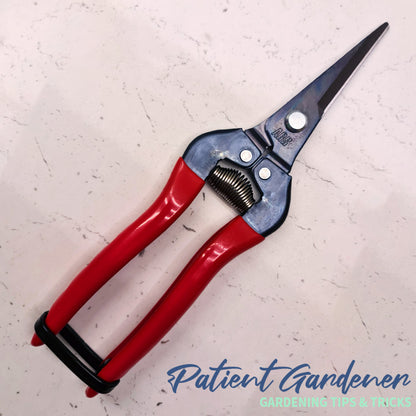 ARS 300L Long-Nose Pruning & Harvesting Snips