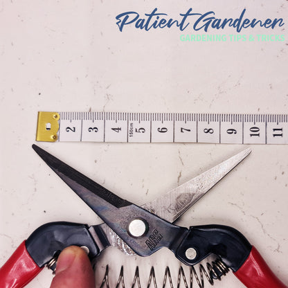 ARS 300L Long-Nose Pruning & Harvesting Snips