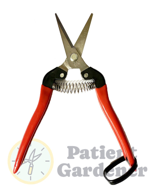 ARS 300L-DX Long-Nose Pruning & Harvesting Snips (Stainless Steel)